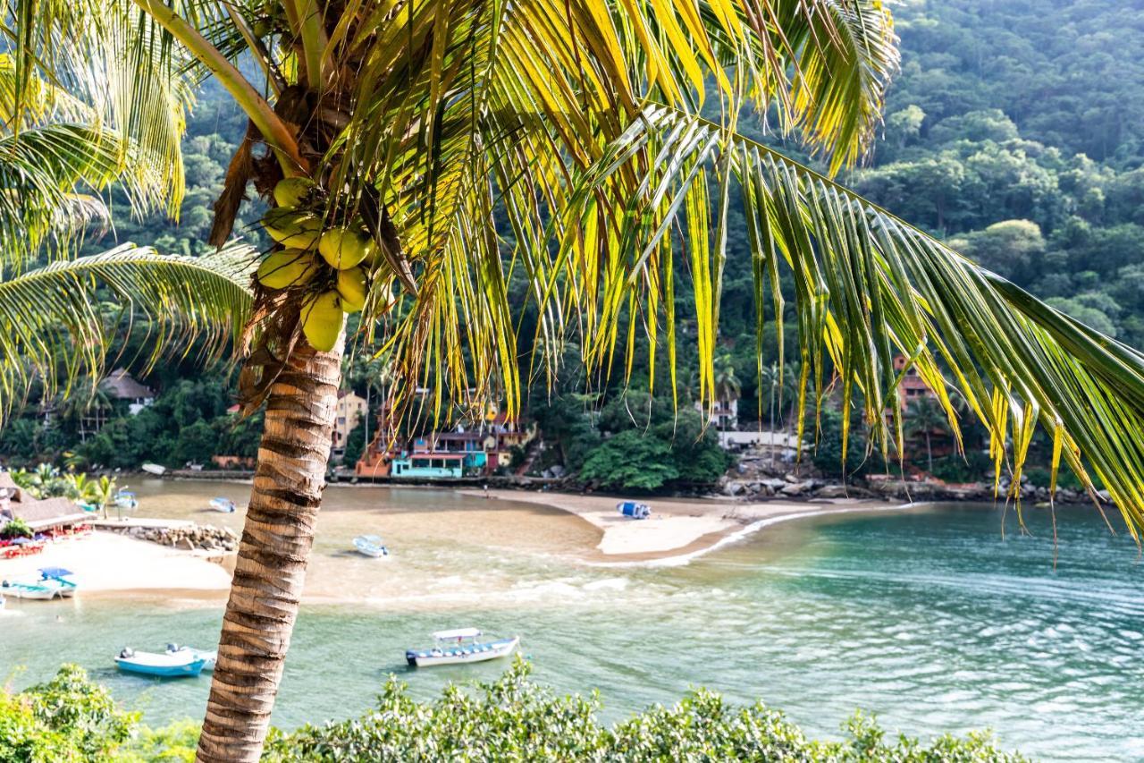 Boca De Tomatlan Luxury Boutique Hotel Accommodations Puerto Vallarta Exteriér fotografie